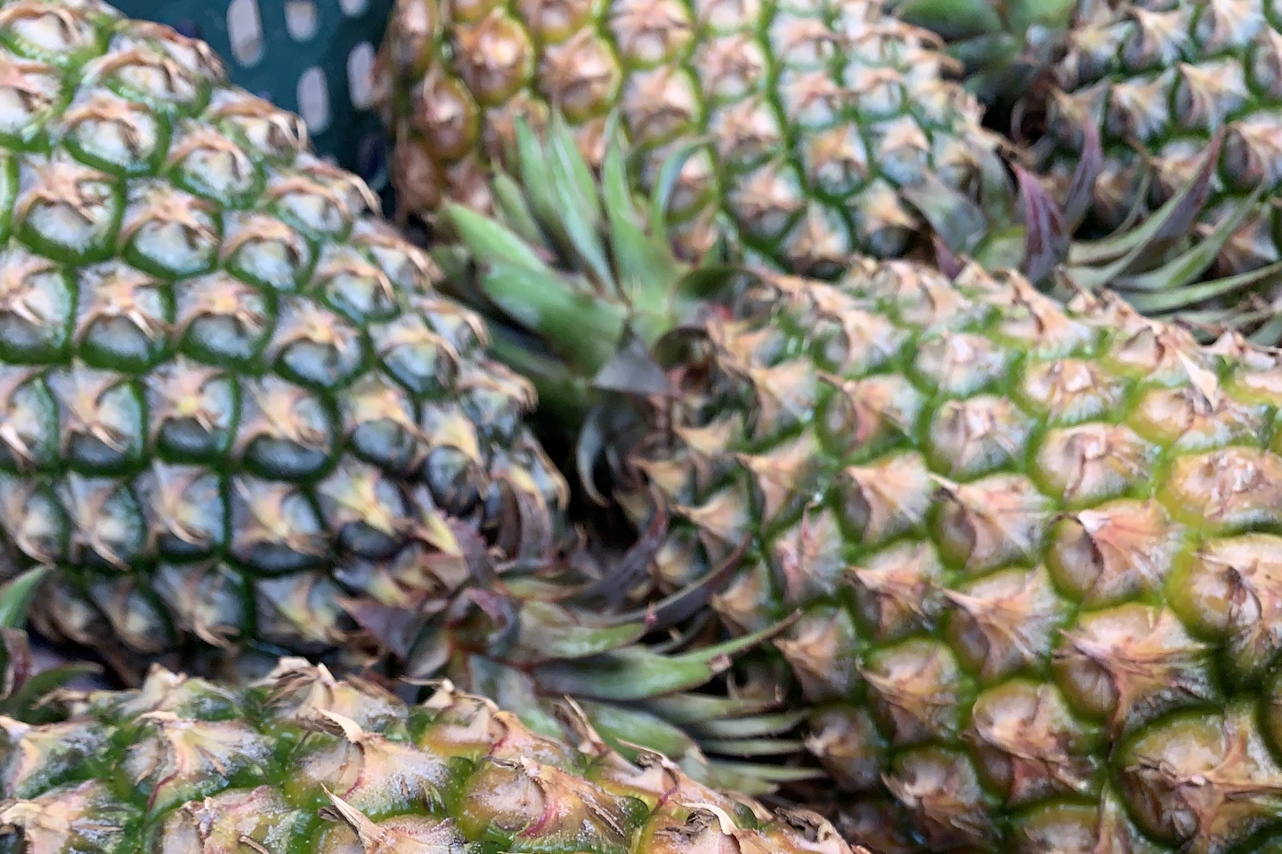 Floaters bye bye! Taiwan study: Eating pineapples reduces symptoms by 70%